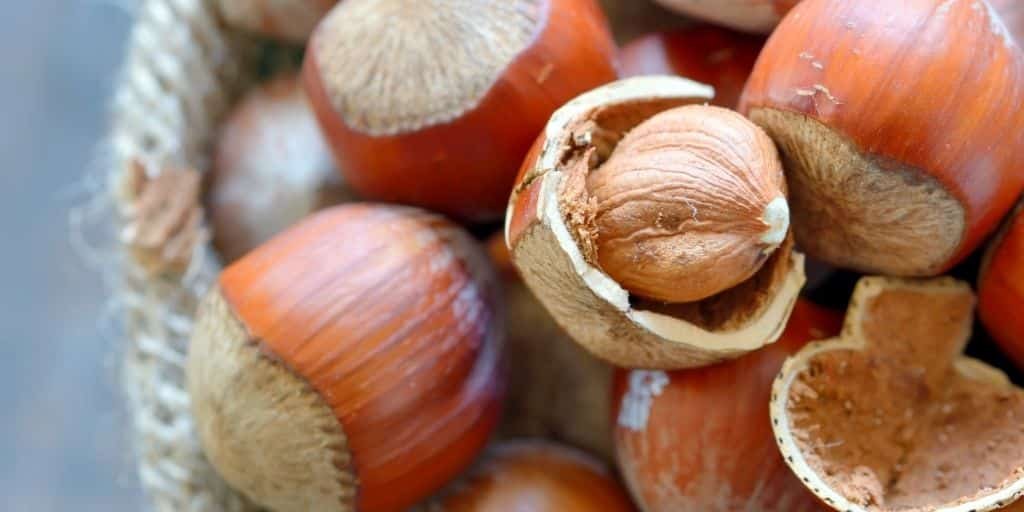 Toptan fındık: Hem bütçenizi koruyun, hem de lezzeti yakalayın! 1 findik cesitleri
