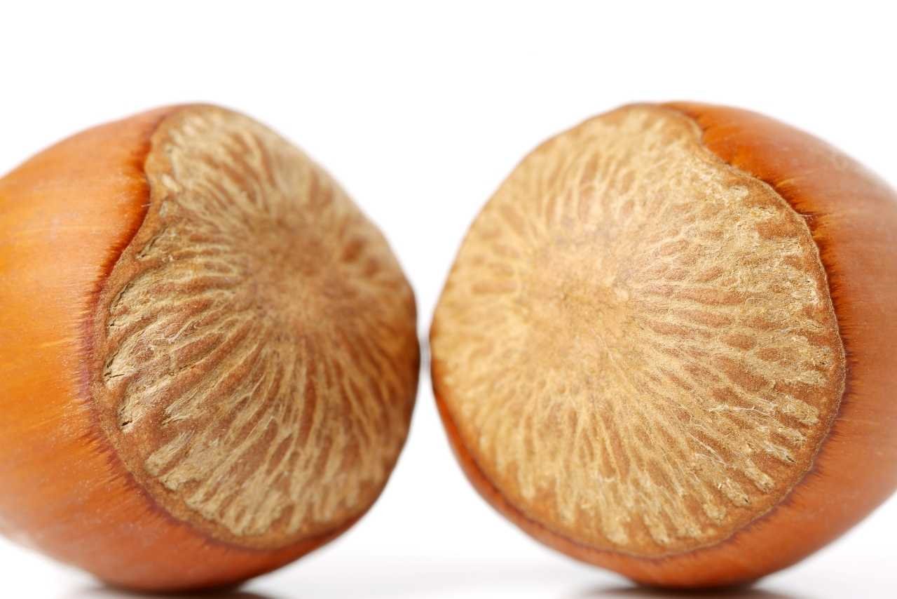 Fındık cinsel gücü artırır mı