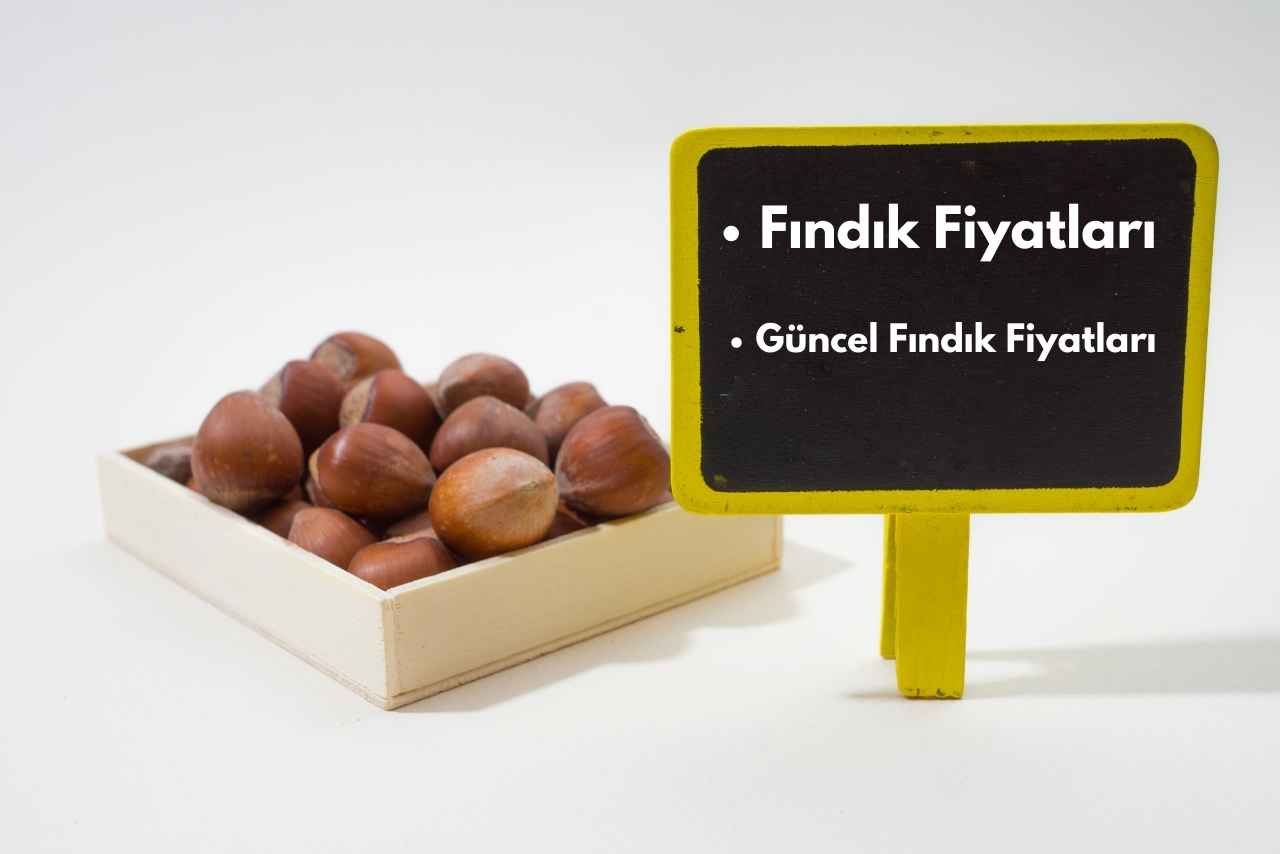 Fındık Fiyatlarındaki Dikkat Çeken 10 Madde! 1 Fındık fiyatları