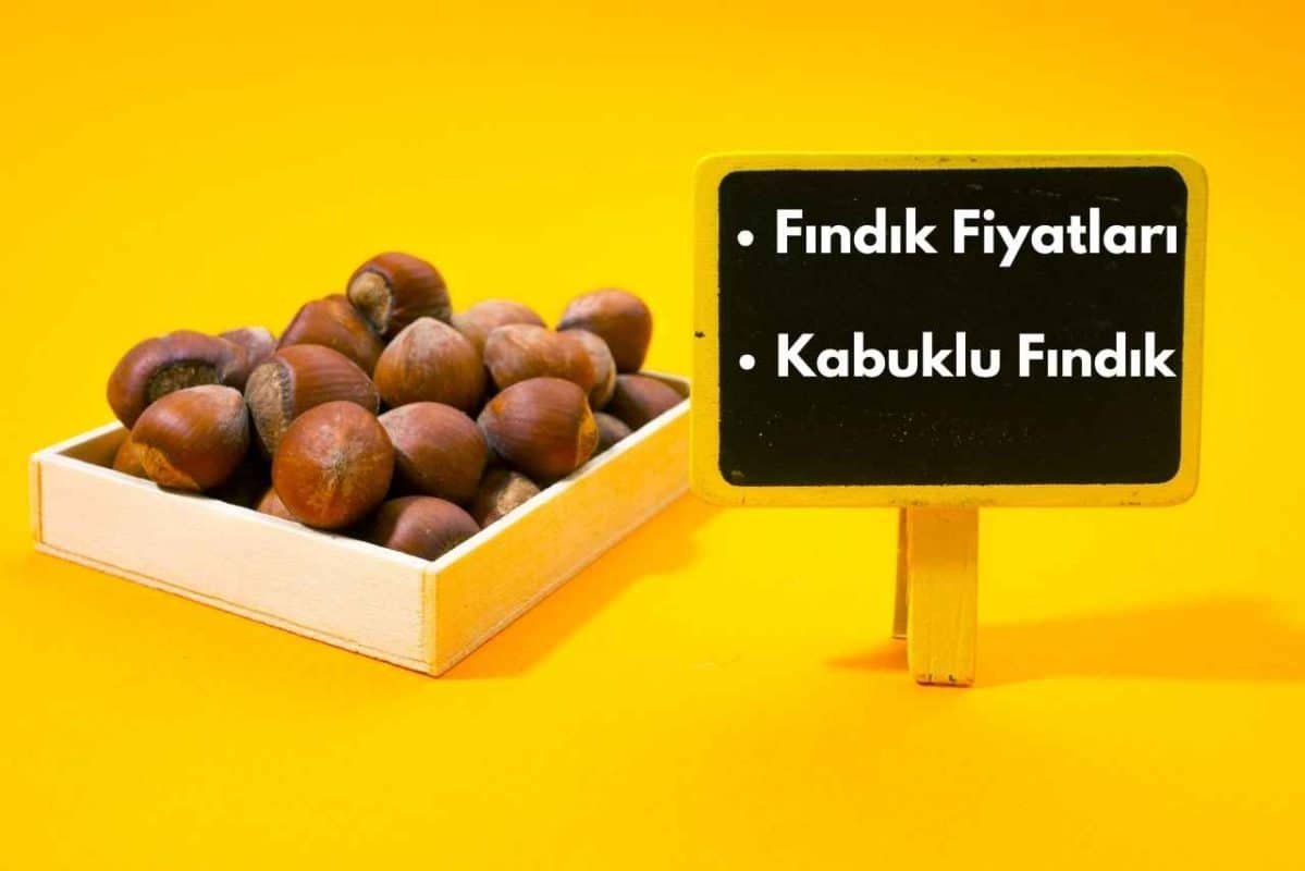 guncel findik fiyatlari